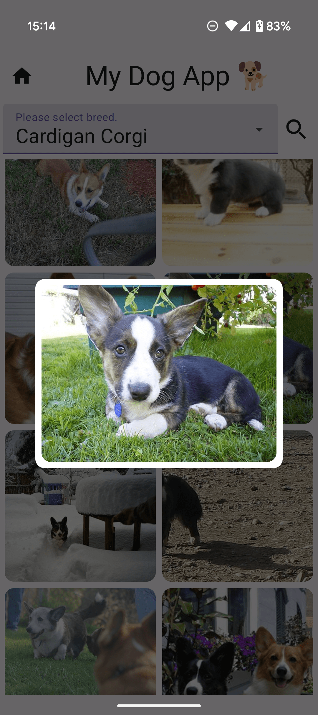 My Dog App - 4